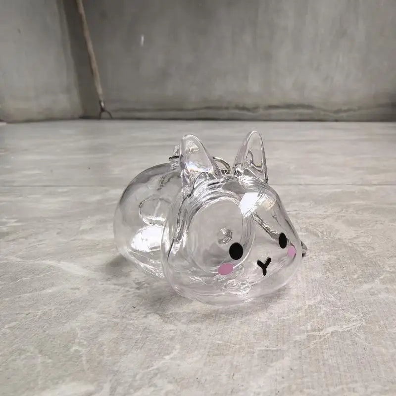 Cute Rabbit Pet Hair Memorial Transparent Storage Box Keychain