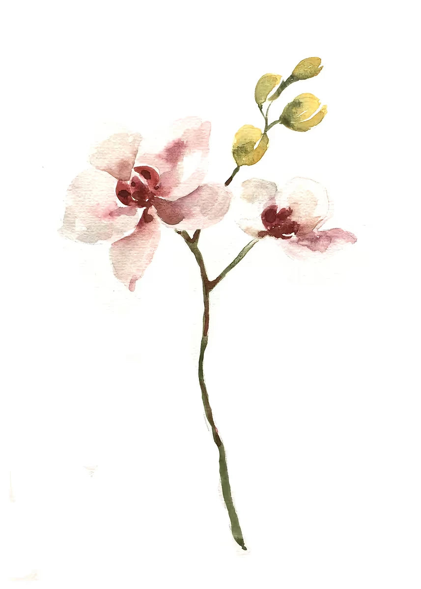 Watercolor Floral Canvas Wall Art Print | Unframed Poster