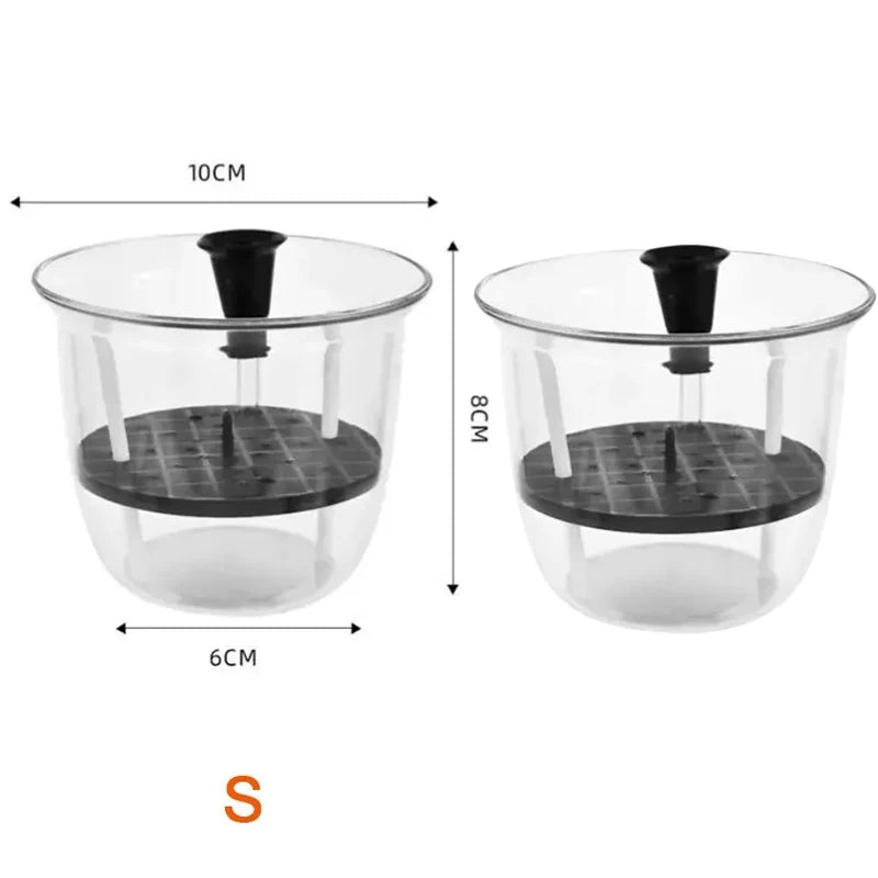 2-Pack Clear Self-Watering Pots with Deep Reservoir | Indoor Plants