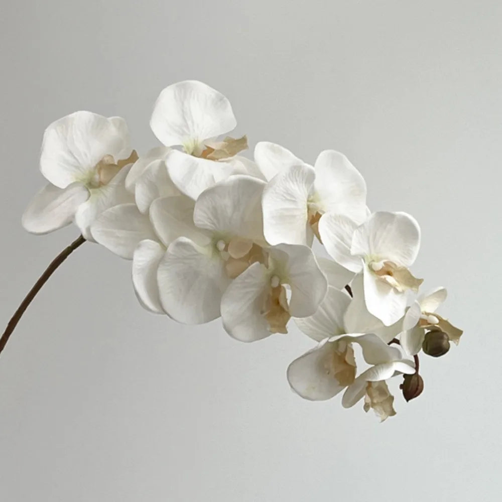 10-Head Artificial Butterfly Orchid Stem | Real Touch Phalaenopsis