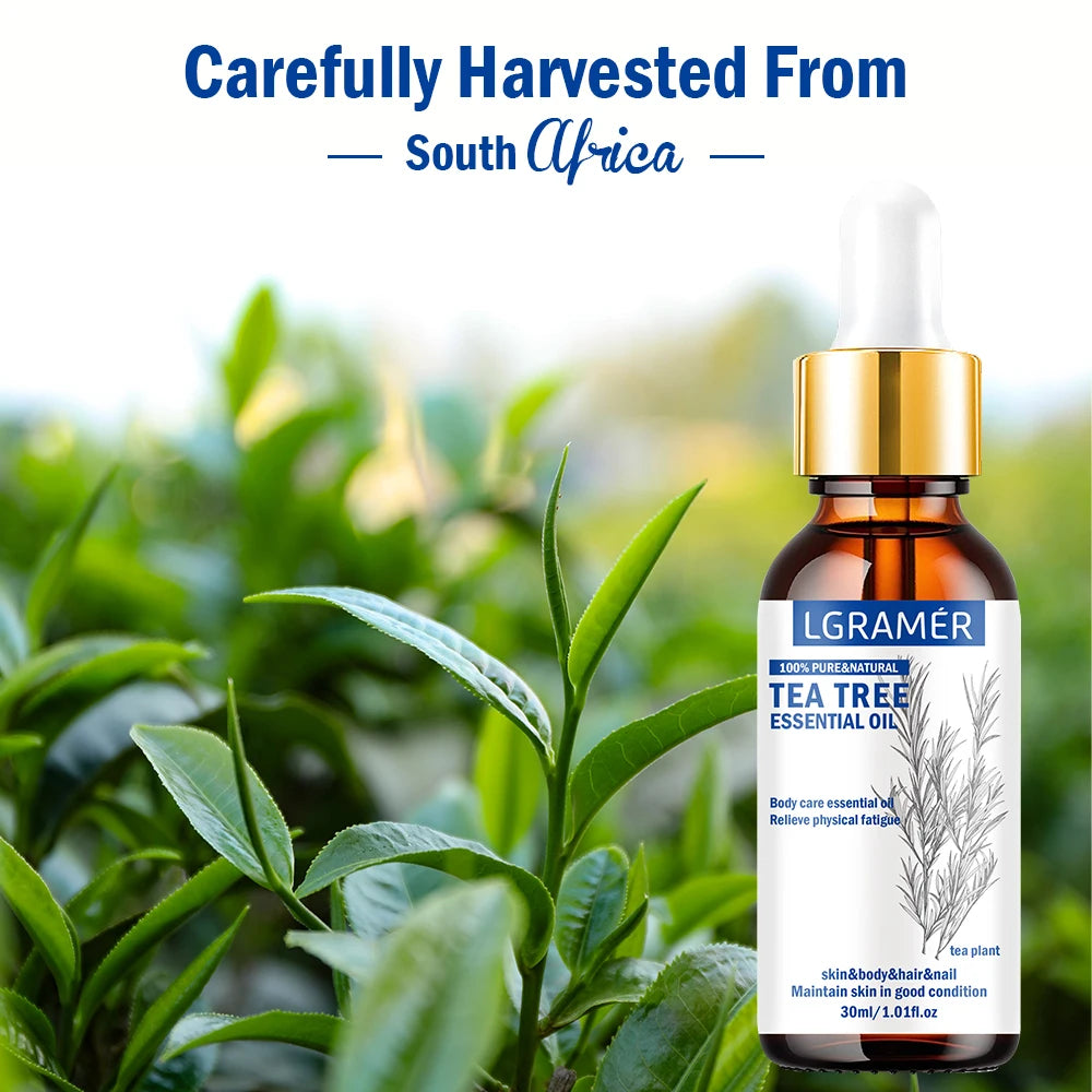 30ML Tea Tree Essential Oil ,100% Pure Nature for Aromatherapy, Diffuser, Humidifier, Woody, Relieving Stress，Massage Muscle Peaceful Pleasures Health and Wellness