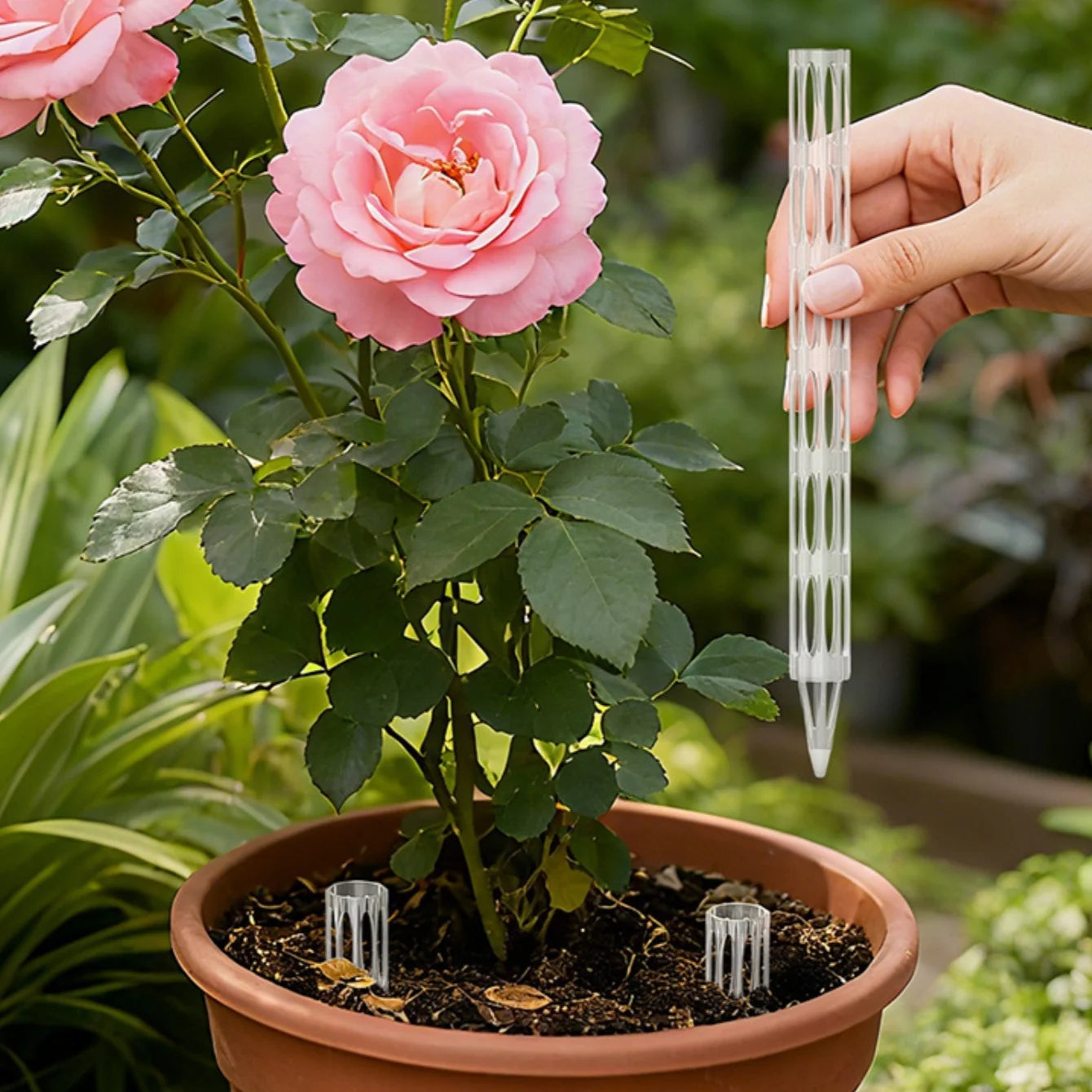 Plant Drainage Pipes – Prevent Root Rot & Improve Ventilation Plant Drainage Pipes Peaceful Pleasures Health and Wellness
