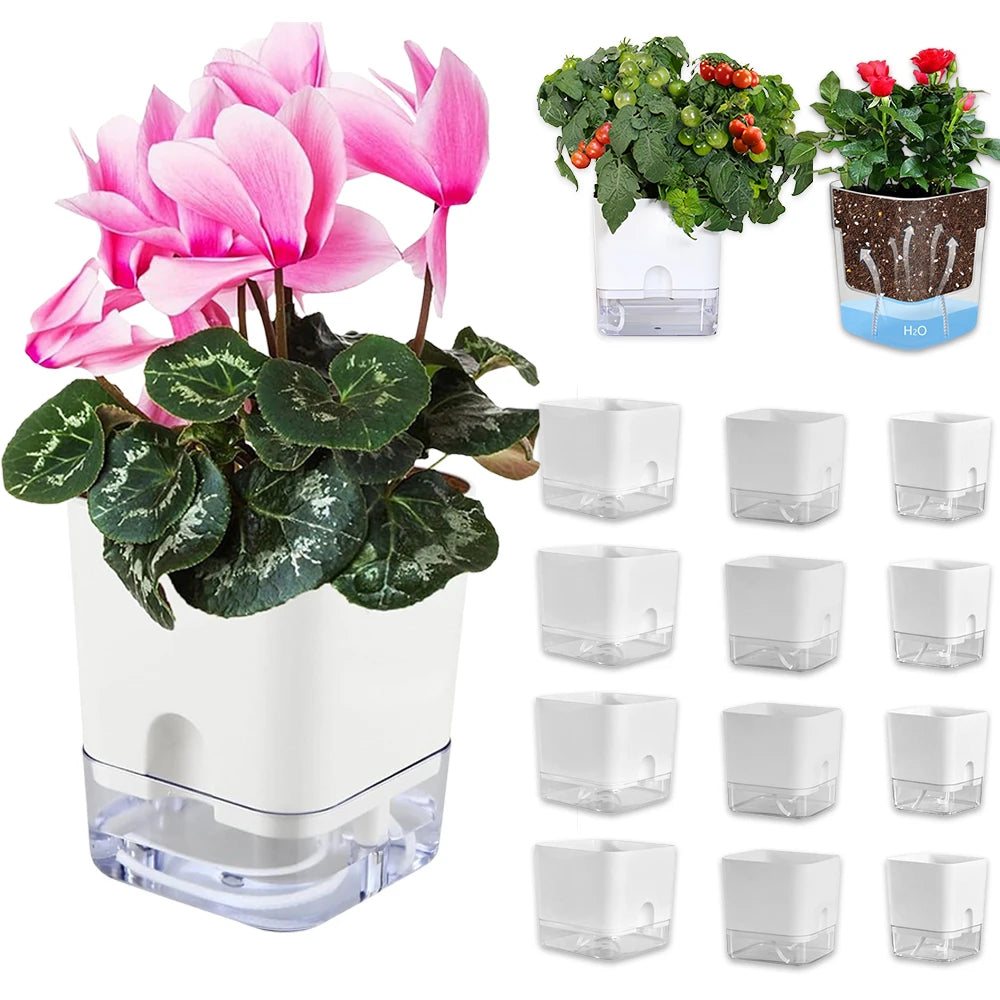 Clear Self-Watering Planter | Wicking Pot with Watering Bottle