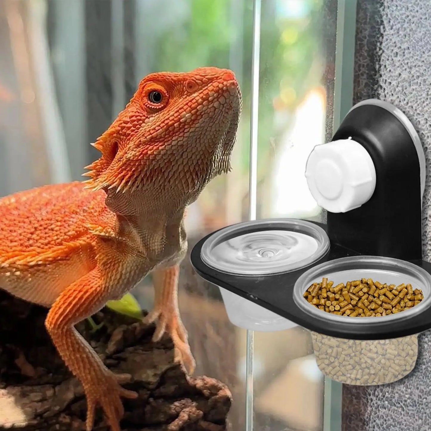 Reptile Feeding Dish & 4-Cup Dispenser Tray | Gecko, Lizard & More