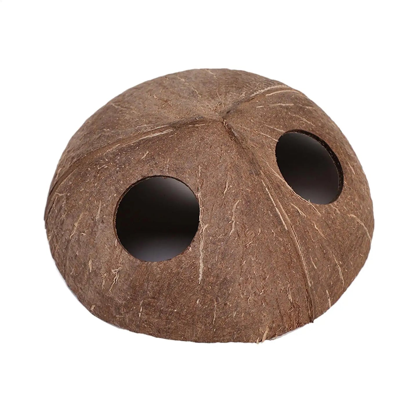 Natural Coconut Shell Reptile Hiding Cave | Turtle & Lizard Hide