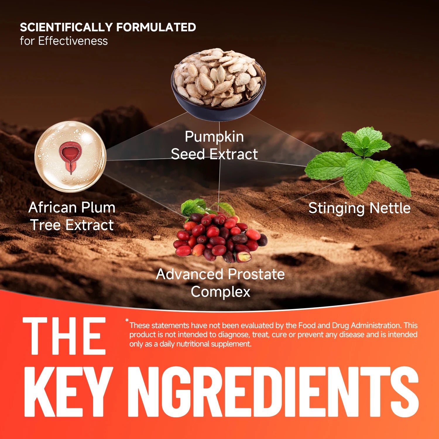 Advanced Prostate Support – Stinging Nettle, Pumpkin Seed & African Plum Peaceful Pleasures Health and Wellness