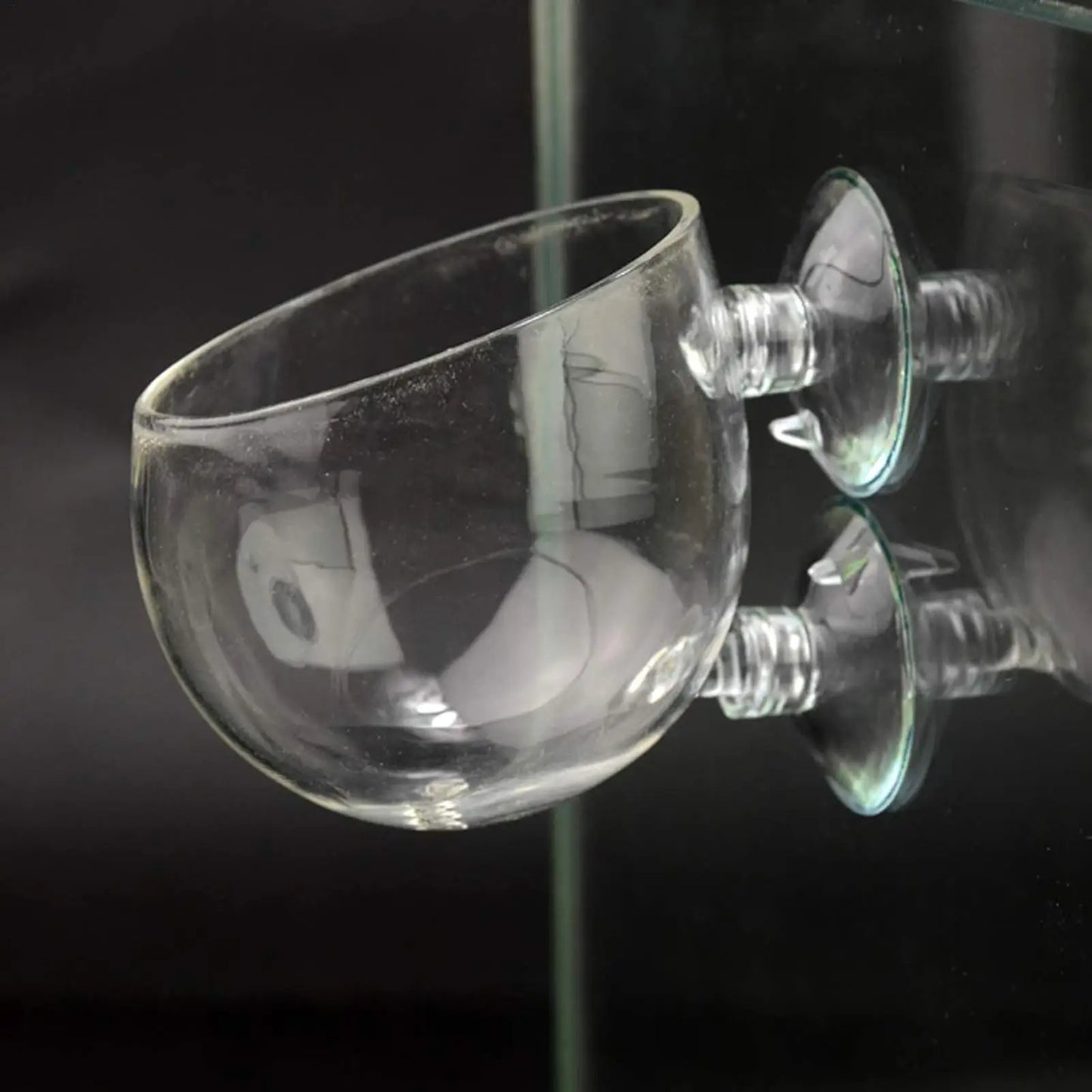 Glass Aquarium Plant Pot with Suction Cups | Fish Tank Planter