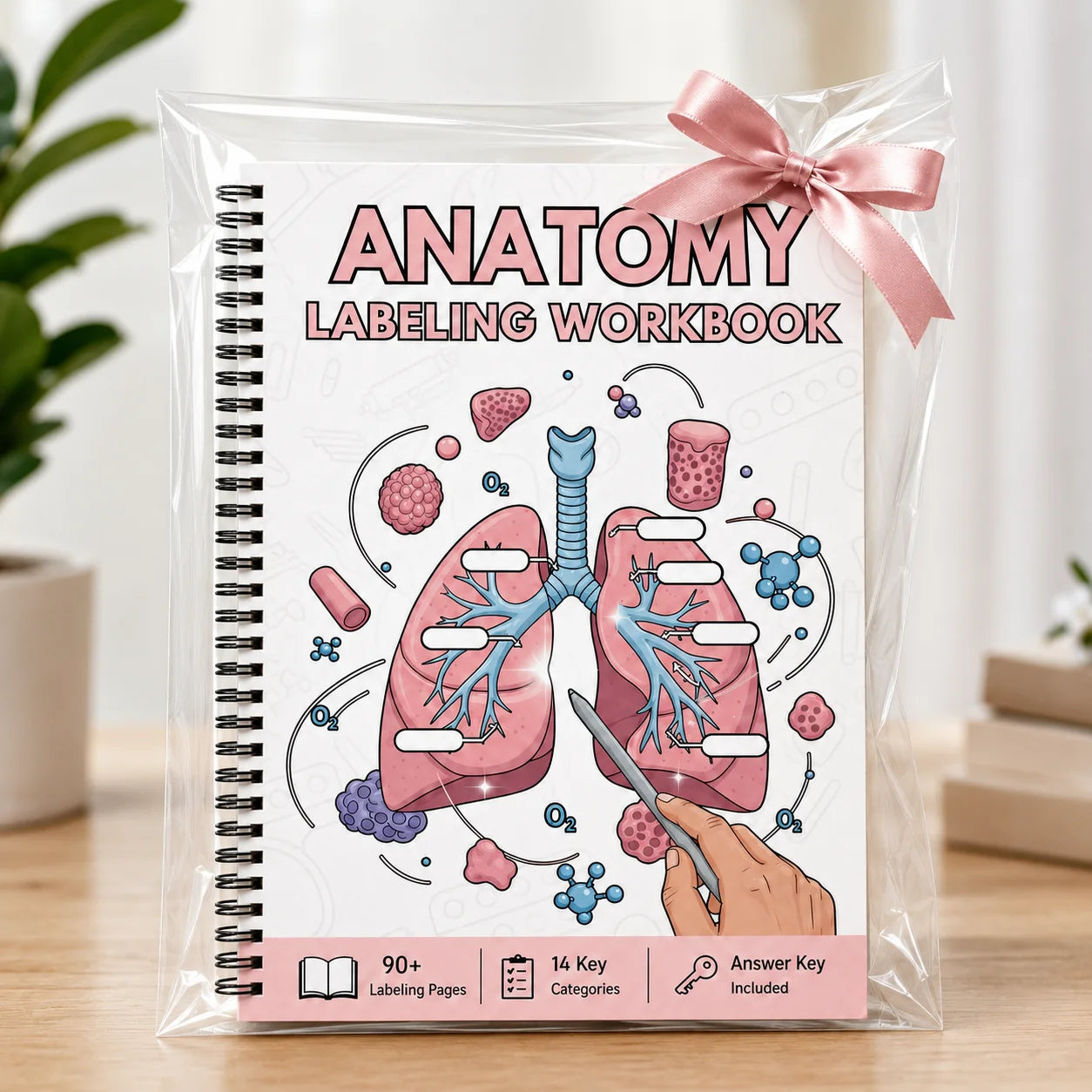 Anatomy Labeling Workbook A5 Spiral-bound Study Guide 90+ Pages 14