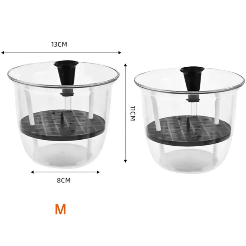 2-Pack Clear Self-Watering Pots with Deep Reservoir | Indoor Plants