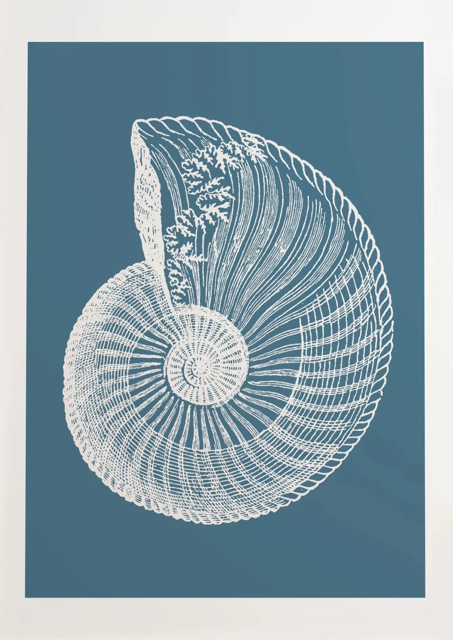 Blue Coastal Sketch Canvas Wall Art – Starfish Jellyfish Print