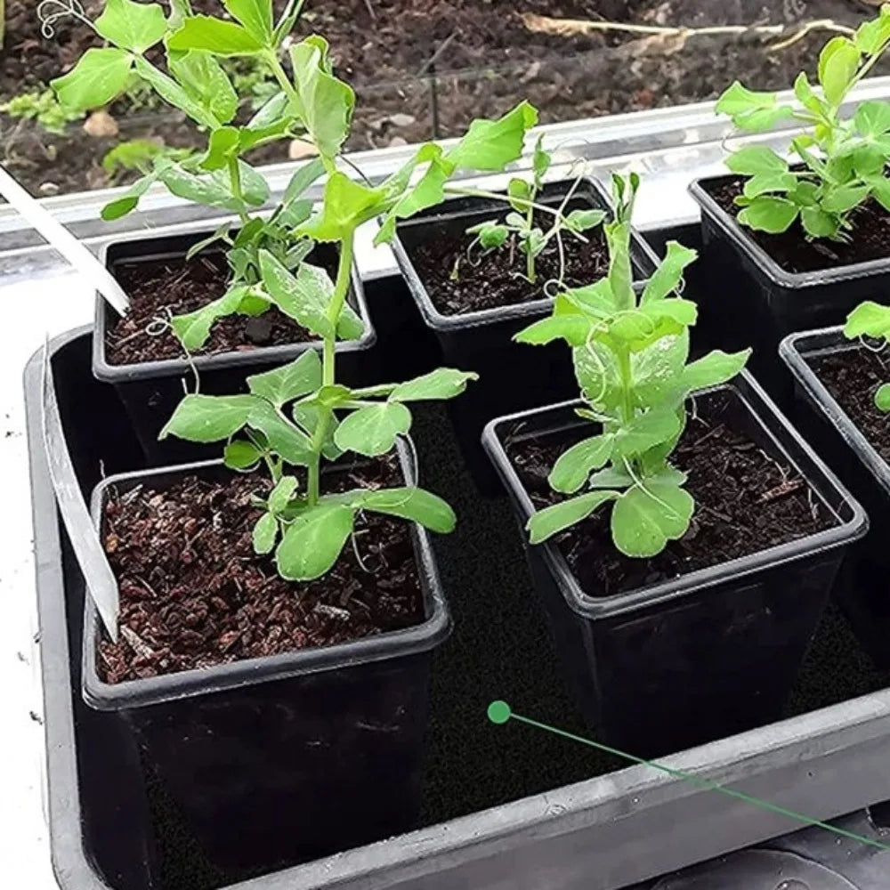 Capillary Watering Mat 1.2×1m – Auto Plant Watering + 10 Tags