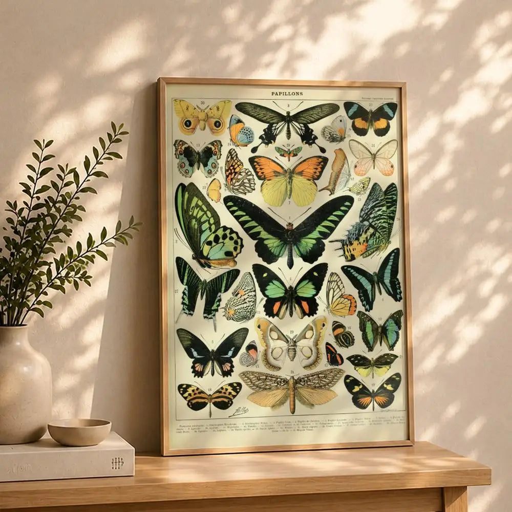 Butterfly HD Self-Adhesive Waterproof Wall Art Poster | Modern Wall Art Poster Peaceful Pleasures Health and Wellness White11 30X40cmNoframe