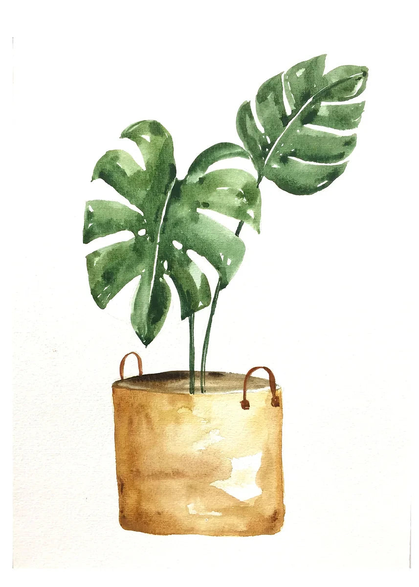 Plant Potted Watercolor Poster Family Garden Houseplant Botanical Canvas Printing Wall Art Picture for Living Room Home Decor Peaceful Pleasures Health and Wellness DM92-12 40x50cm Unframed