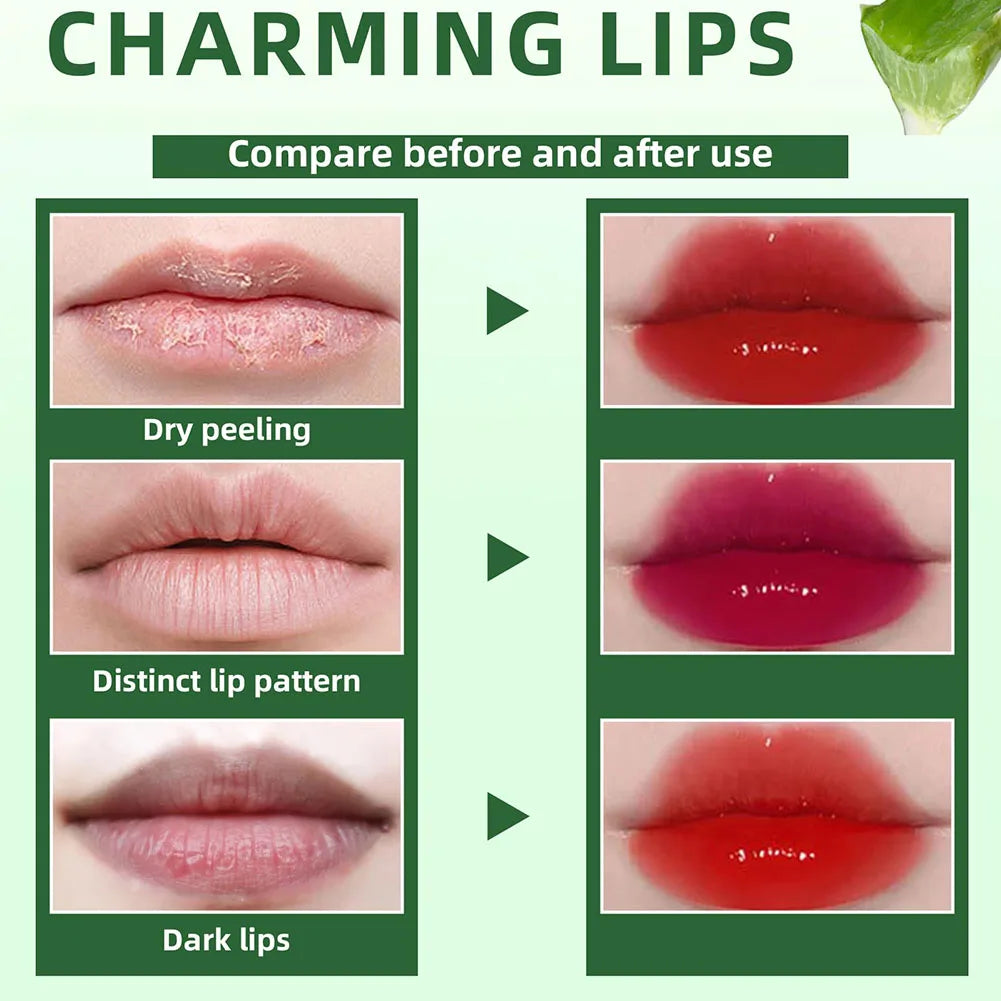 6-Color Aloe Vera Lip Tint & Cheek Stain Set | Moisturizing