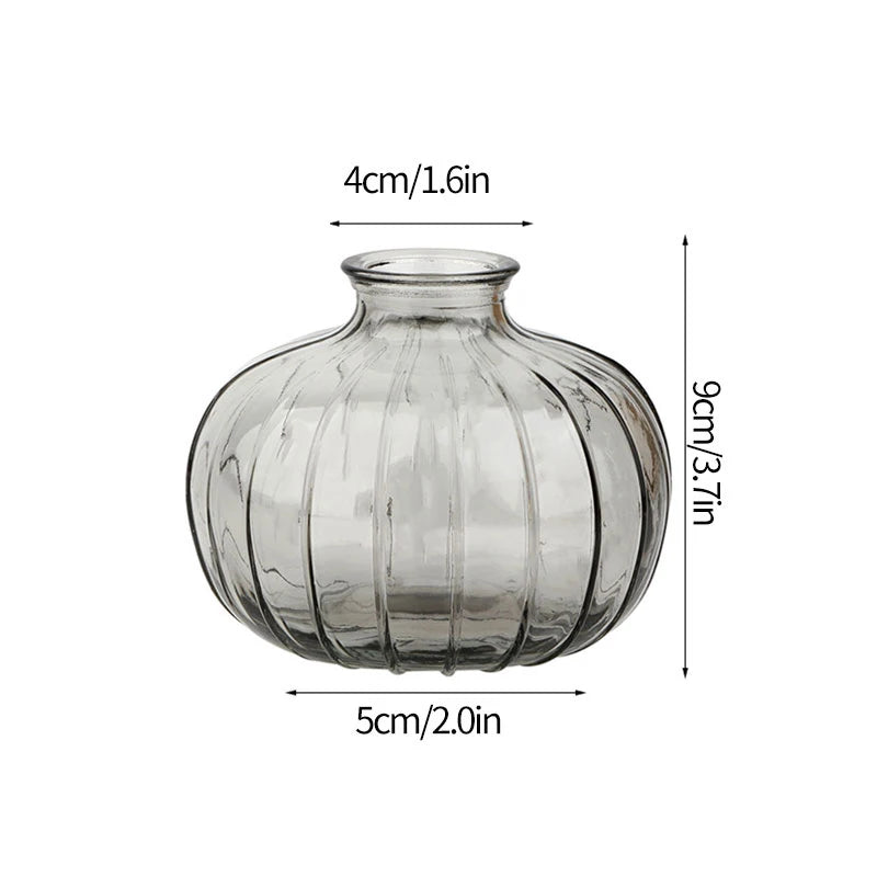Vintage Transparent Glass Vase | Flower Bottle & Plant Pot