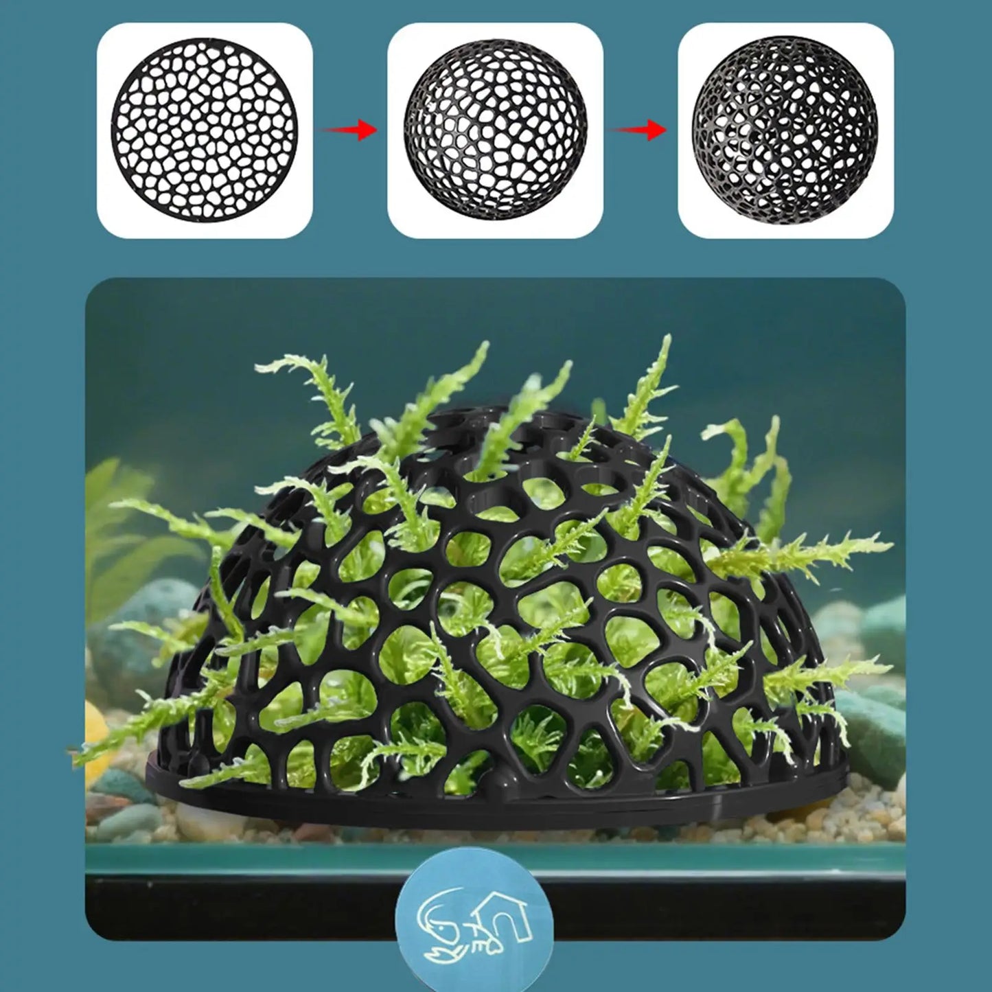 Aquarium Shrimp Cave – Betta Fish Hiding Spot & Breeding Shelter