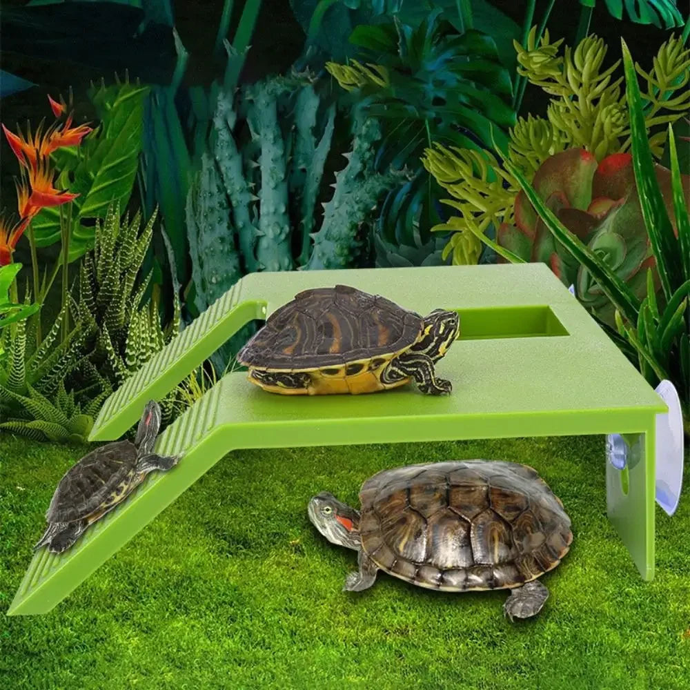 Floating Turtle Basking Platform | Aquatic Turtle Climbing Terrace