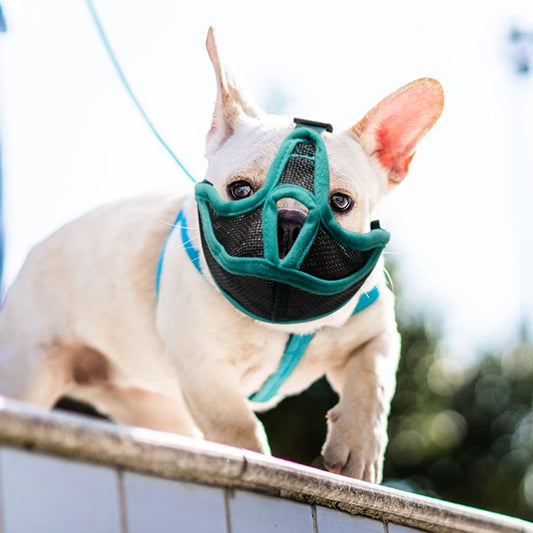 Breathable Mesh Muzzle for French Bulldogs & Pugs | Adjustable Dog Muzzle Peaceful Pleasures Health and Wellness