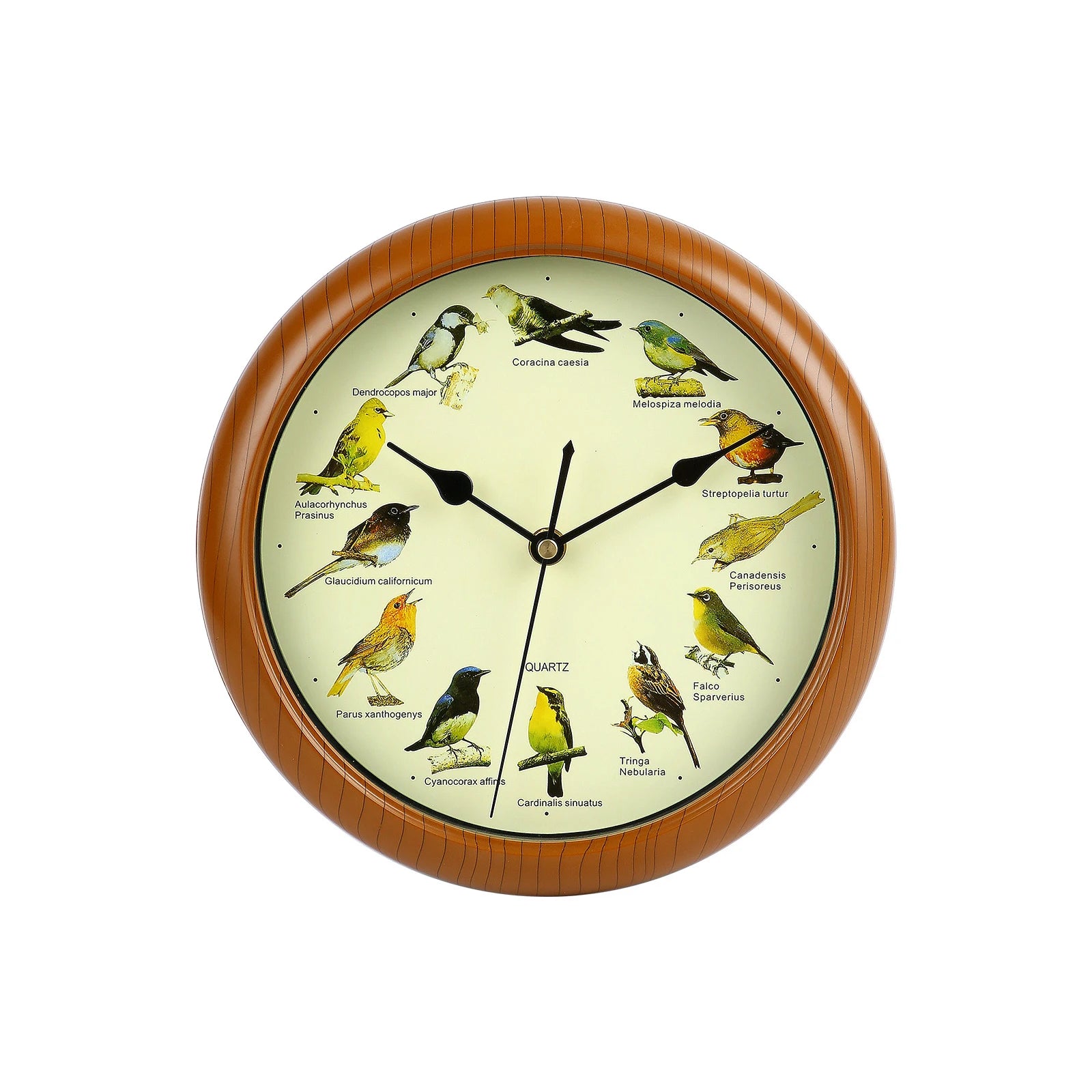 Wall Hanging Clock Decor Singing Bird Wall Clock Bird Clock With Sound Hanging Clock Decor for Kitchen Walls Shelf Decoration Peaceful Pleasures Health and Wellness A