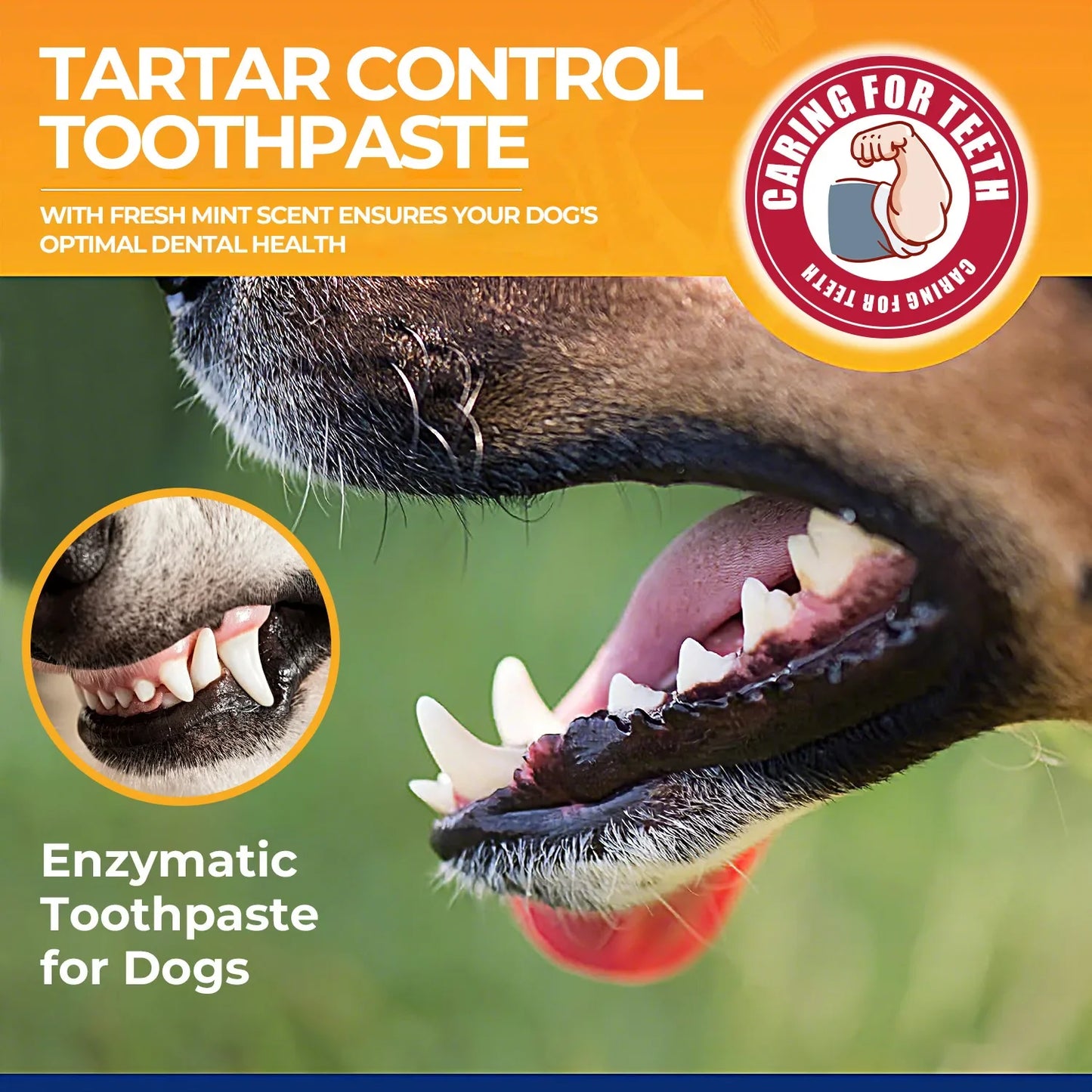 2-Pack Dog Enzyme Toothpaste with Baking Soda – 60g Each