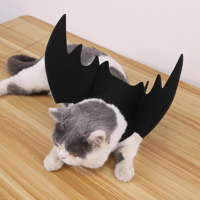 Halloween Bat Wing Pet Costume for Cats & Small Dogs