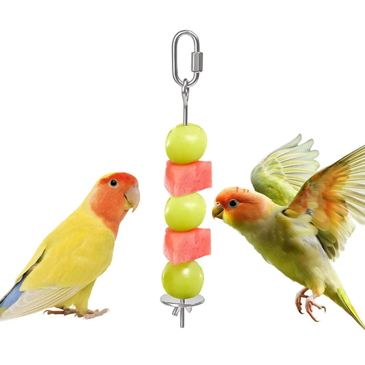 Stainless Steel Bird Fruit Skewer | Parrot Cage Feeder Toy Bird Cage Feeder Peaceful Pleasures Health and Wellness