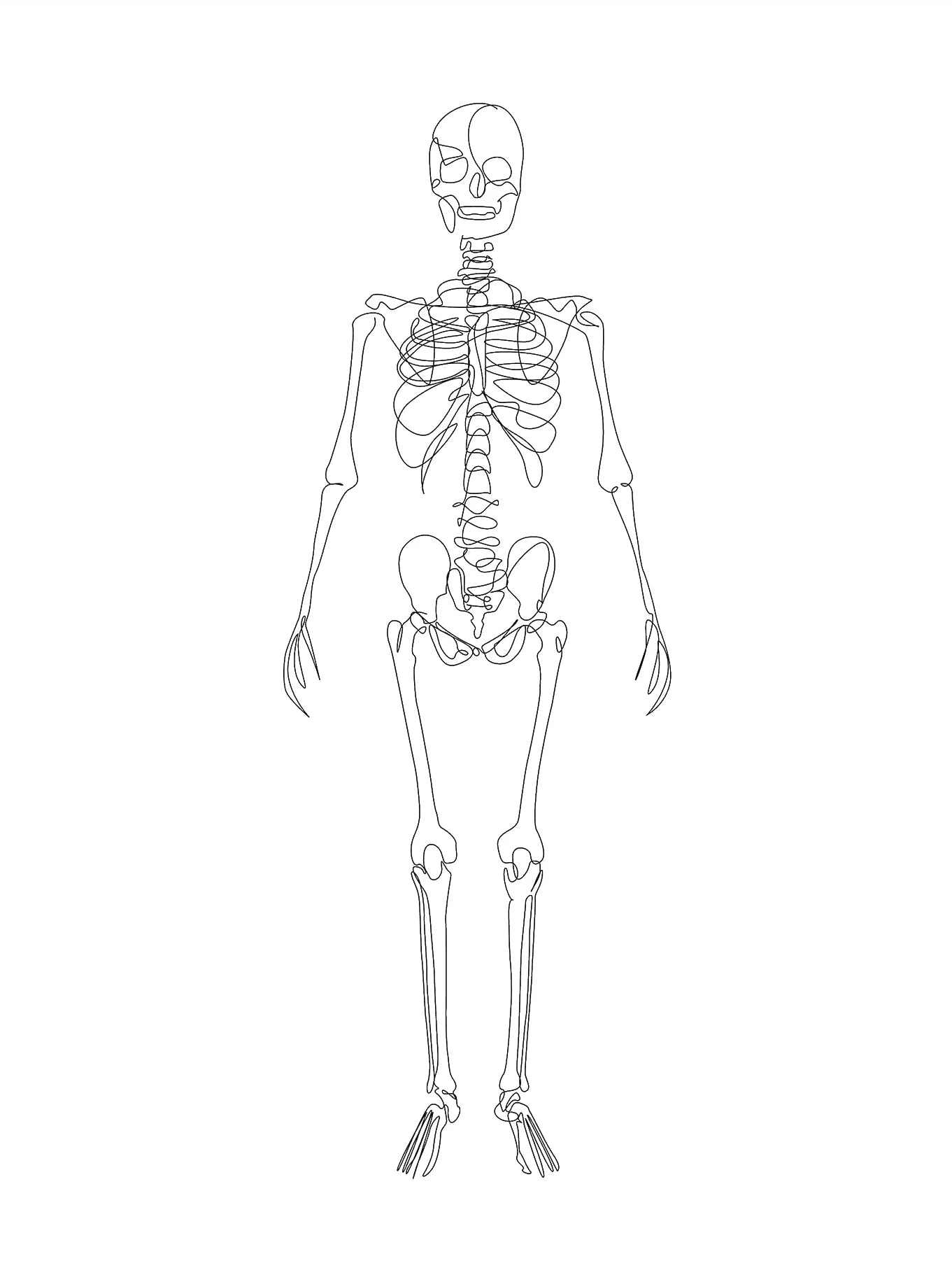 Human Anatomy Skeleton Canvas Wall Art | Medical Line Art Poster