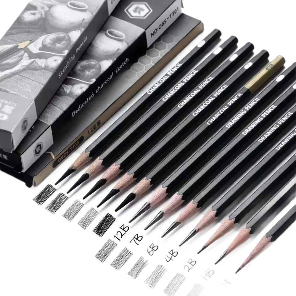 12 Sketching Pencil Students Beginner Charcoal Various Hardness Art