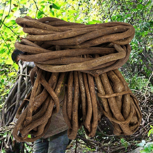 Artificial Banyan Tree Branch Silk Green Leaf Home Wedding Decor Artificial Plant Branch Peaceful Pleasures Health and Wellness