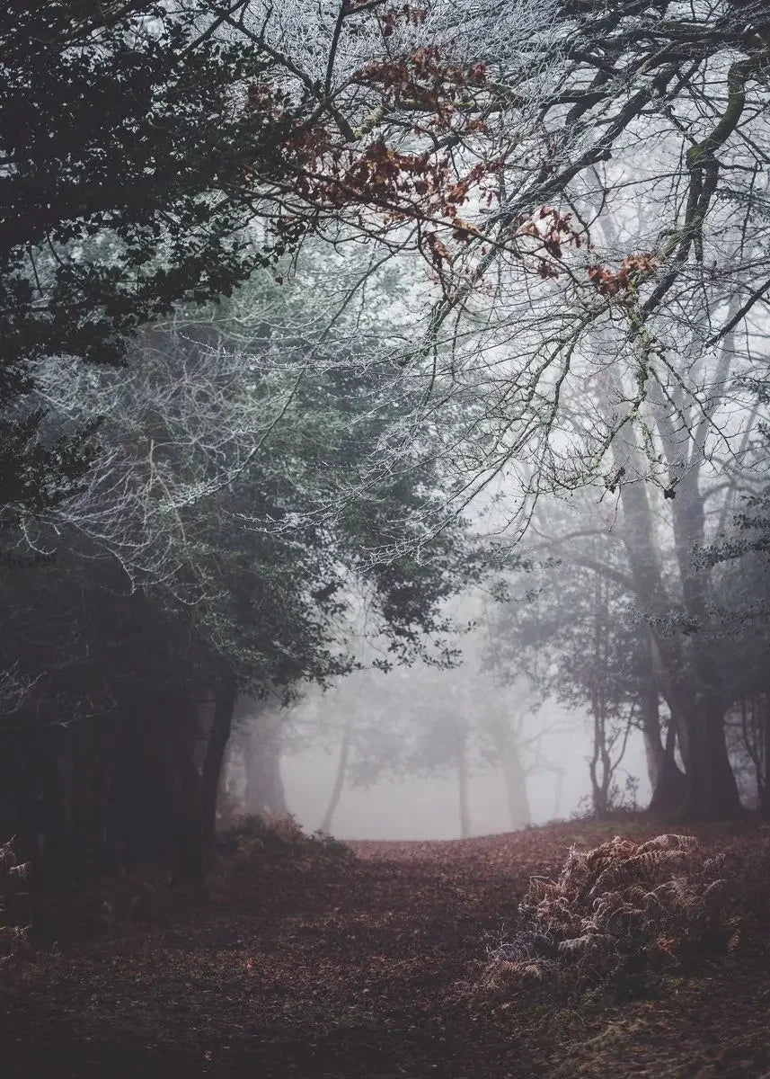 Dark Green Forest Foggy Mountain Canvas Wall Art | Nature Print