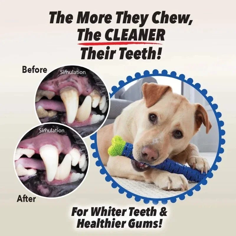 Dog Teeth Cleaning Chew Toy | Food Grade Rubber Bone Dog Chew Toy Peaceful Pleasures Health and Wellness