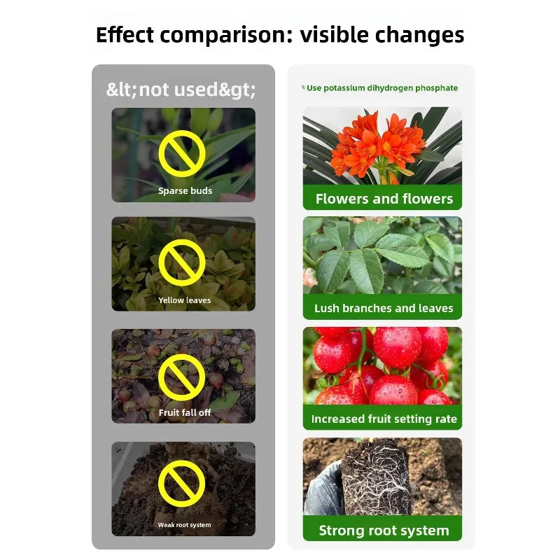 Potassium Dihydrogen Phosphate Flower Fertilizer Water-soluble Fertilizer Specialized Foliar Agricultural Potted Plant Peaceful Pleasures Health and Wellness