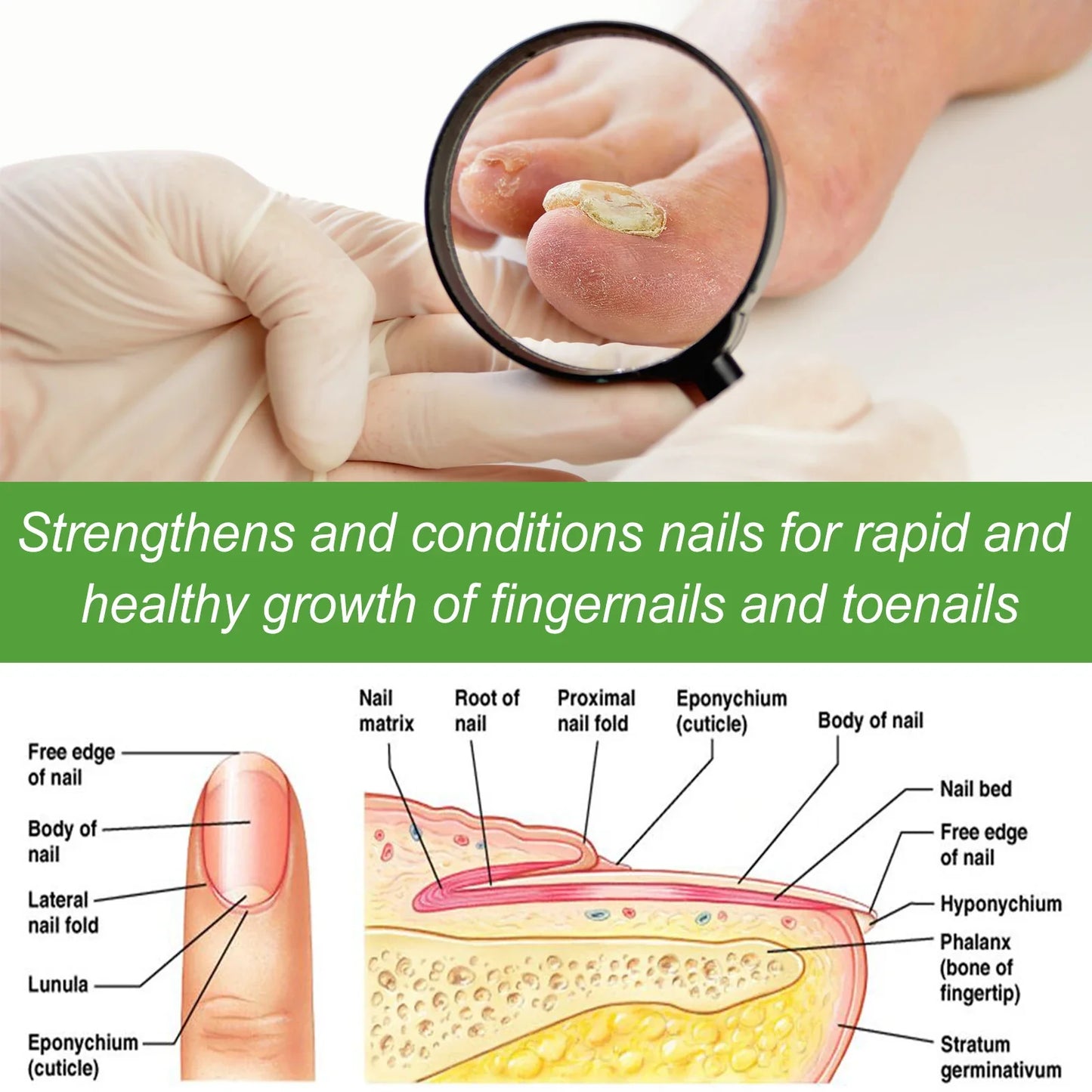 5-Day Nail Care Roller – Nourishing Nail Serum for Hand & Foot