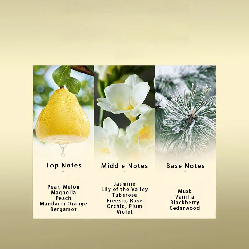 French Jasmine Citrus Floral Women's Eau de Toilette 30ml