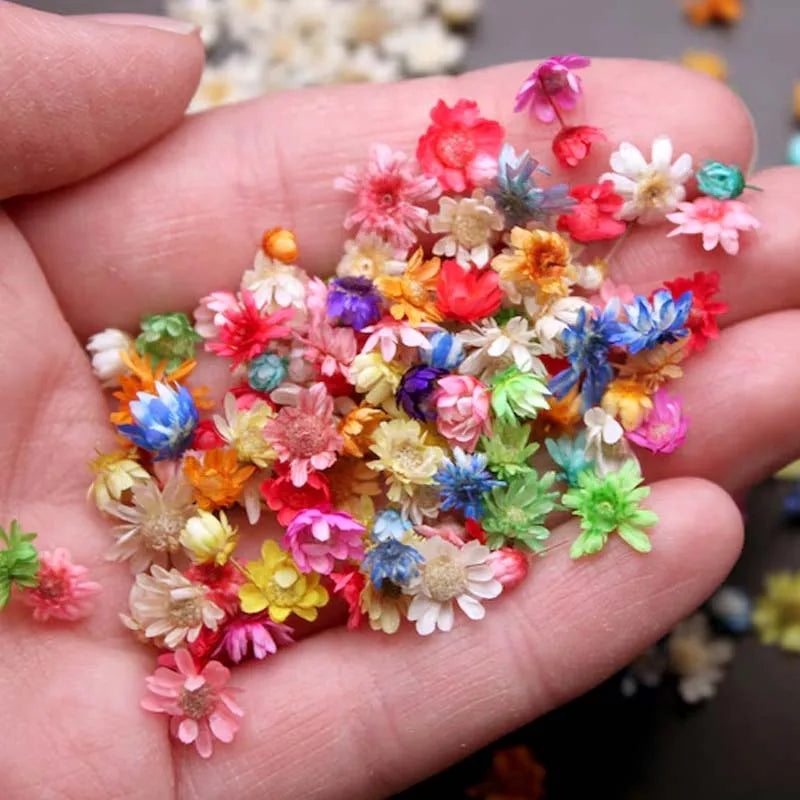 Dried Flowers for Resin, Epoxy, Jewelry & Candle Making
