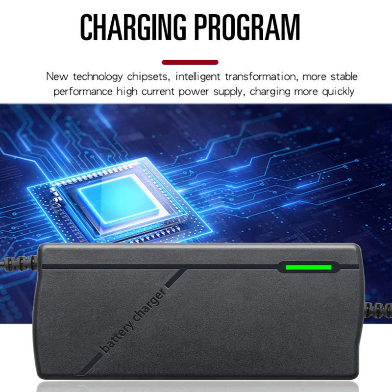 12V 10A Smart LiFePO4 Battery Charger 14.6V 4S AC110-240V