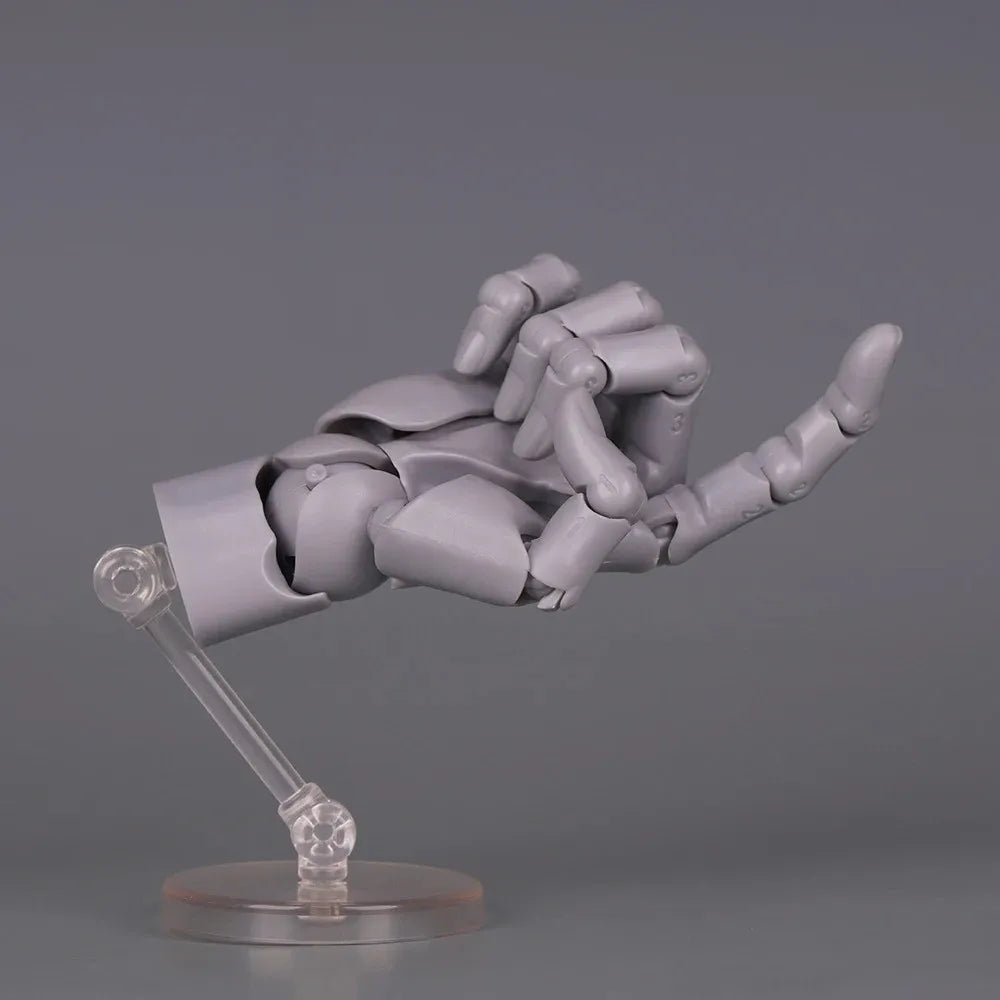 1:2 Scale Articulated Hand Model – Posable Fingers for Artists