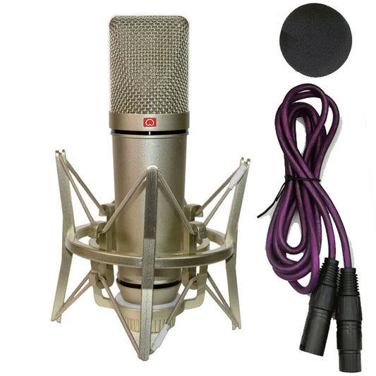AyeBeau Condenser Microphone – Studio, PC & Karaoke Recording Condenser Microphone Oasis Select