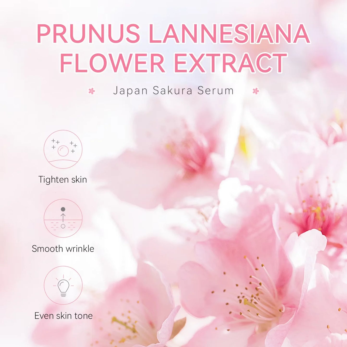Sakura Whitening Face Serum Anti Aging Fade Fine Lines Tighten Pores Improve Melanin Pigment Dull Moisturizer Brighten Skin Care Peaceful Pleasures Health and Wellness
