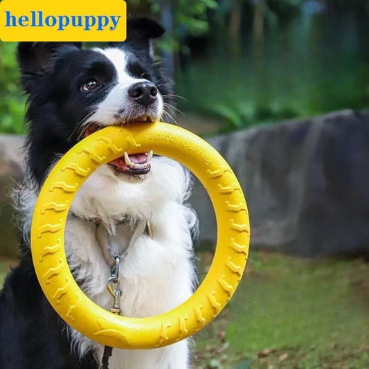 Indestructible Dog Ring Toy – Fetch, Float & Chew All Sizes Dog Fetch Toy Peaceful Pleasures Health and Wellness