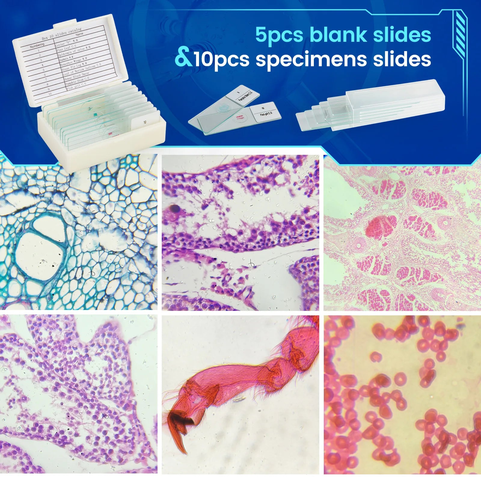 Biological Microscope for Convenient Movement of Specimens 40-640X Optical Microscope Peaceful Pleasures Health and Wellness