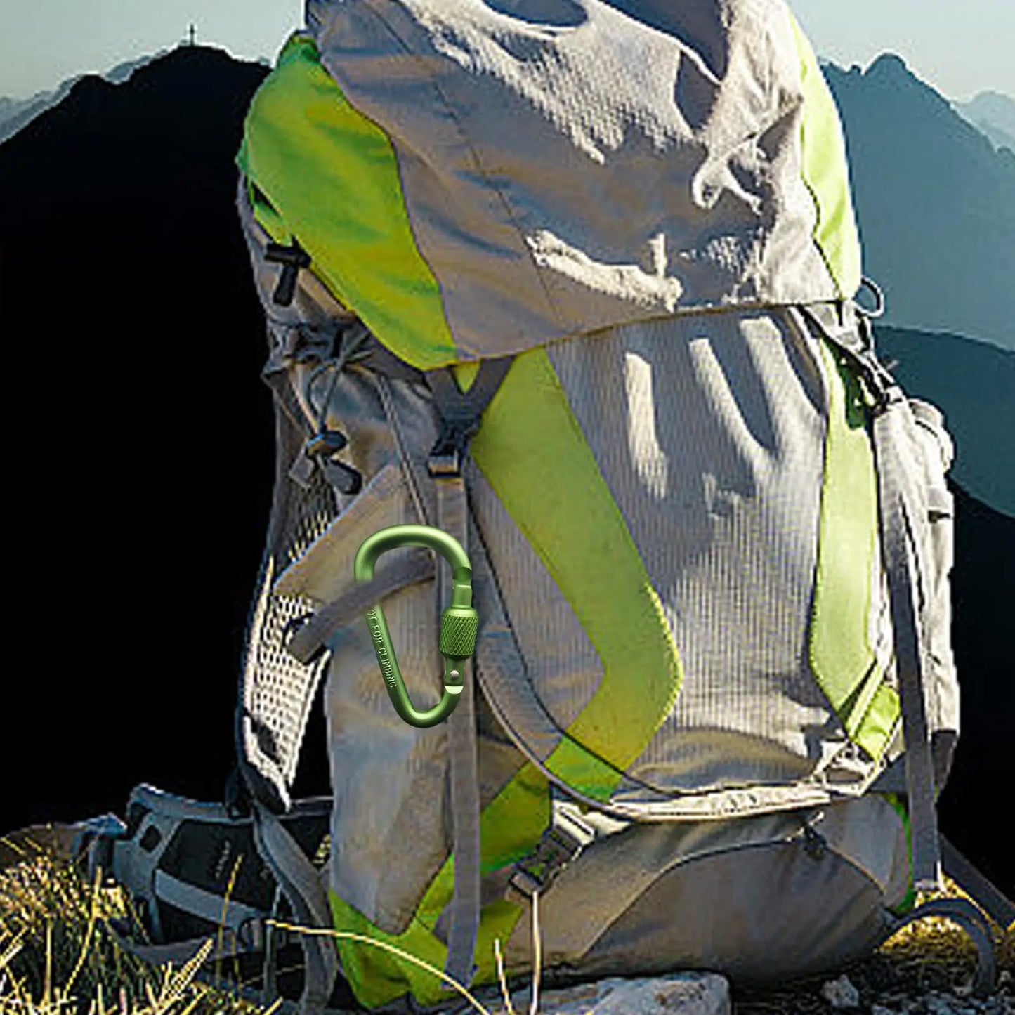 Aluminum Alloy D-Shape Locking Carabiner – Camping & Hiking