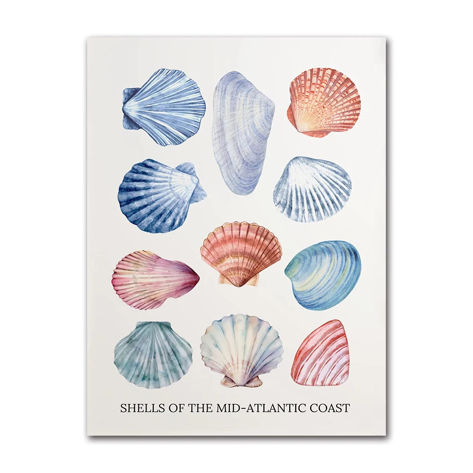 Coastal Blue Beach Antique Shell Sketch Poster, Starfish Jellyfish Conch Oil Painting Print, Wall Art for Kids Room Home Decor Peaceful Pleasures Health and Wellness 82052-01 30x40cm Unframed