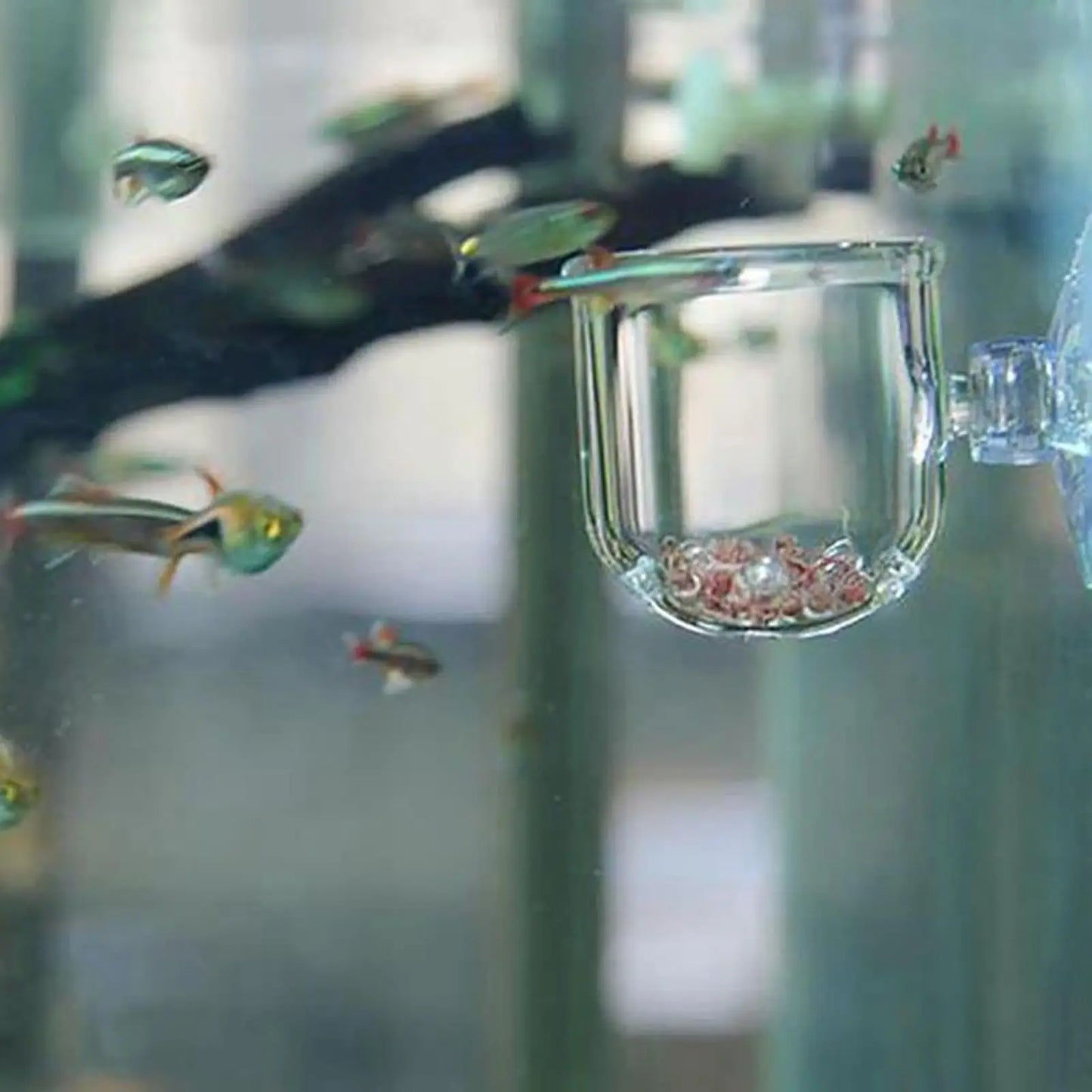 Acrylic Aquarium Plant Cup with Suction Holder | Fish Tank Pot