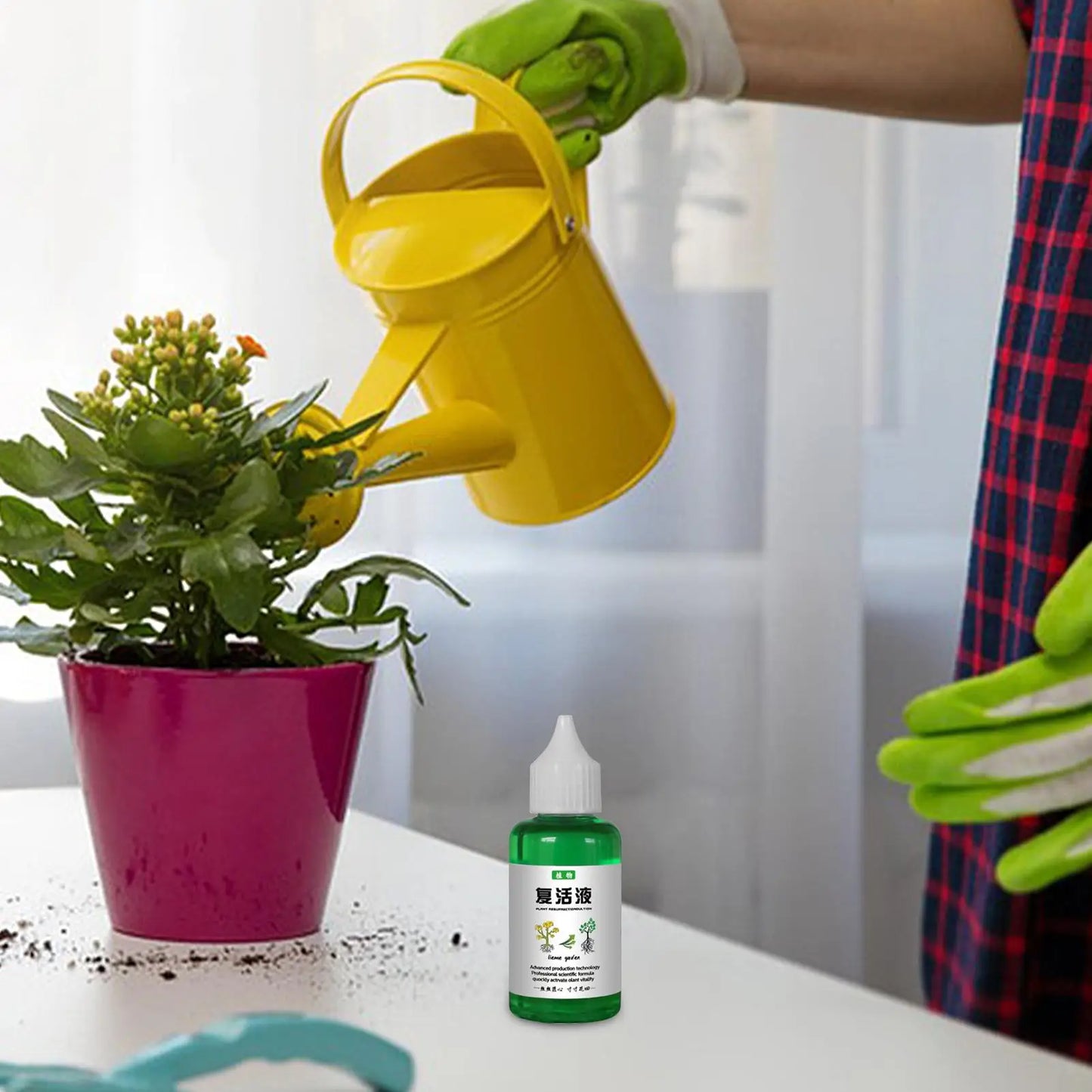 Plant Revitalizer Liquid – Organic Nutrient Solution for Fast Growth