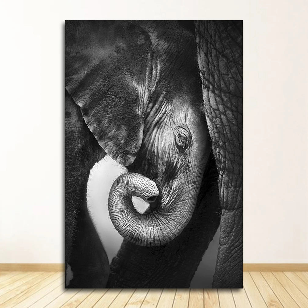 Black & White Animal Canvas Wall Art | Zebra Lion Leopard