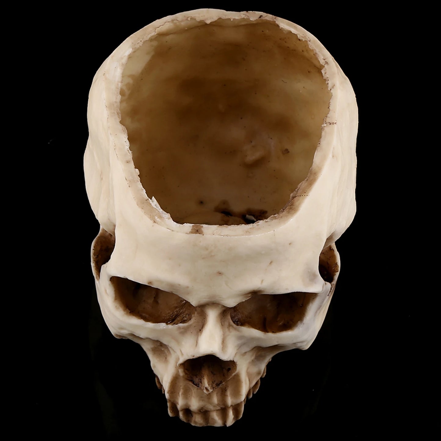 Resin Skull Flower Pot | Gothic Planter & Halloween Decor