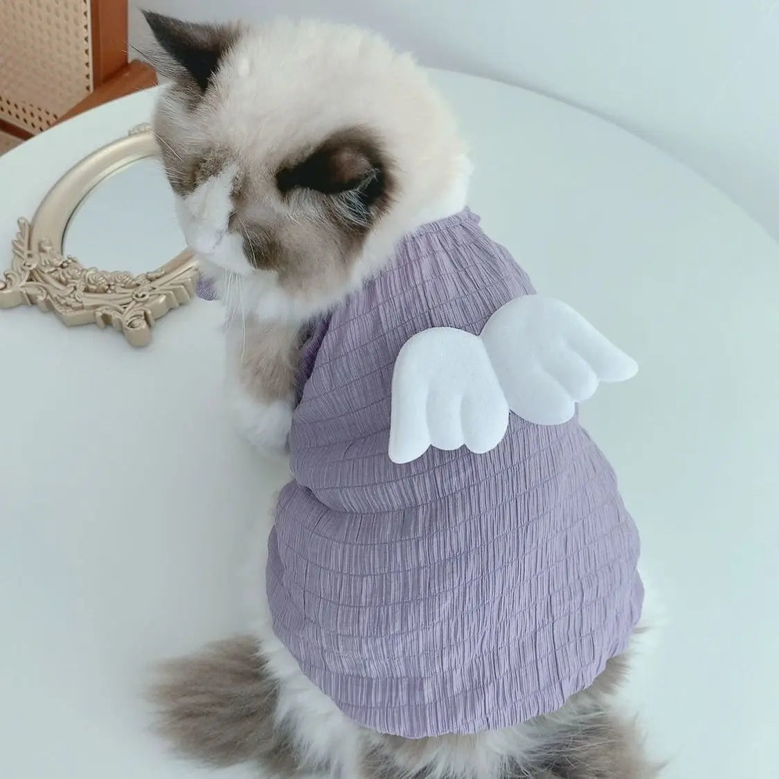 Cat Angel Wings Summer Shirt – Soft Breathable Pet Clothes