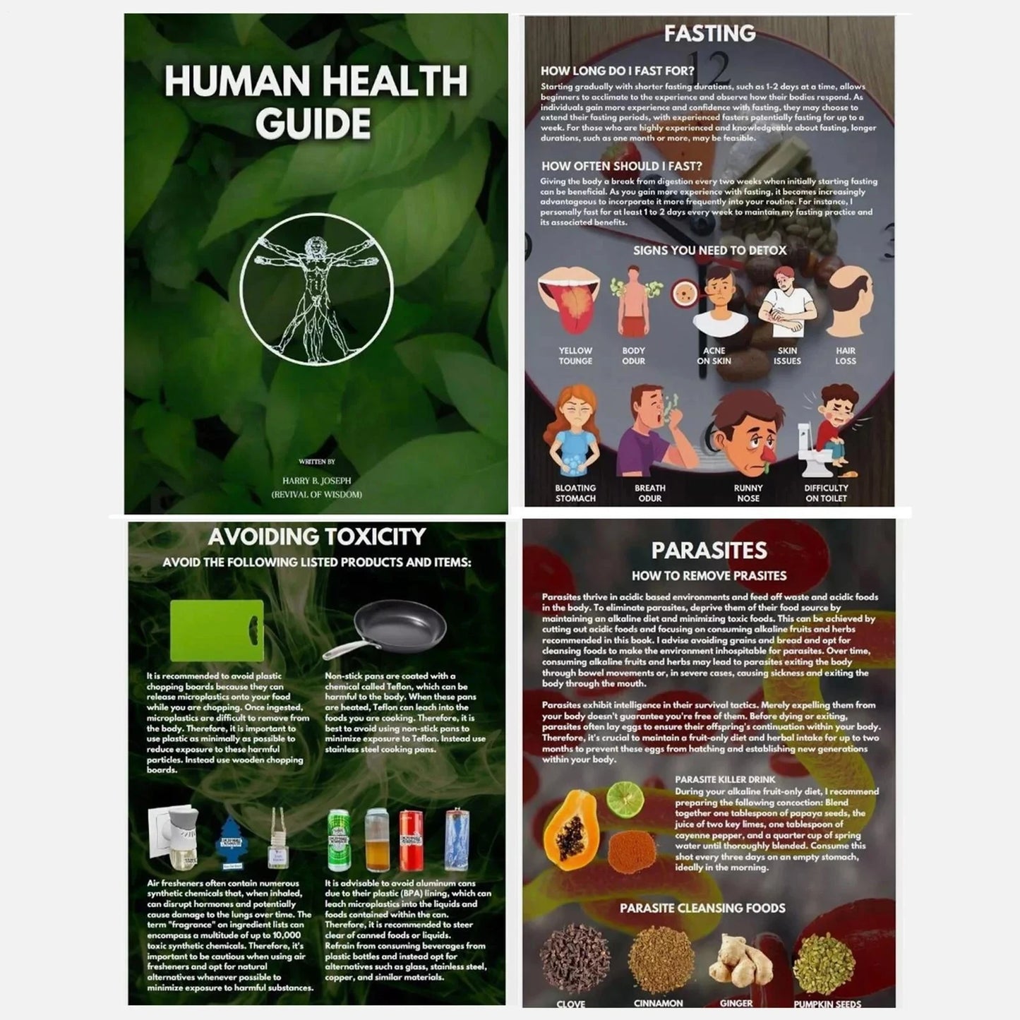 Human Health Guide by Harry B Joseph Self-Help Book for Wellness and Personal Development with Inspirational Insights Peaceful Pleasures Health and Wellness