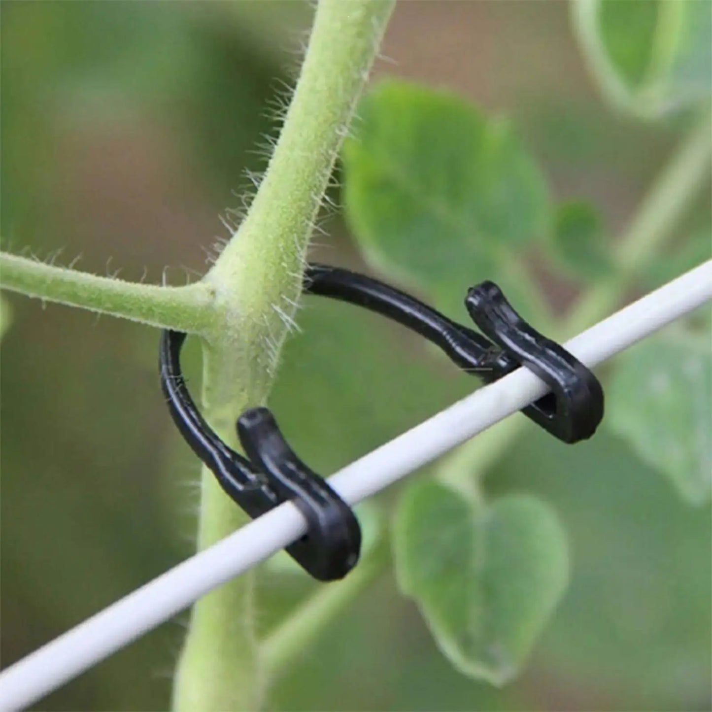 Trellis Clips 50pcs Heavy Duty Weather-Resistant Garden Plant Clips For Raspberry Grape Dragon Fruit Tomato Rose Kiwi Outdoor Peaceful Pleasures Health and Wellness